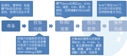 生物(wù)接触氧化池采用(yòng)活性污泥接种