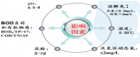 污水除磷生物(wù)去除法优缺点